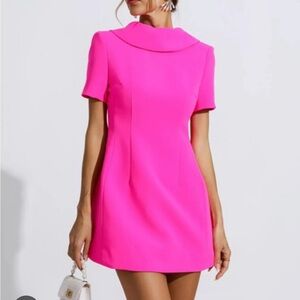 NWOT Catchall Jacqueline Pink Mini Dress Small
